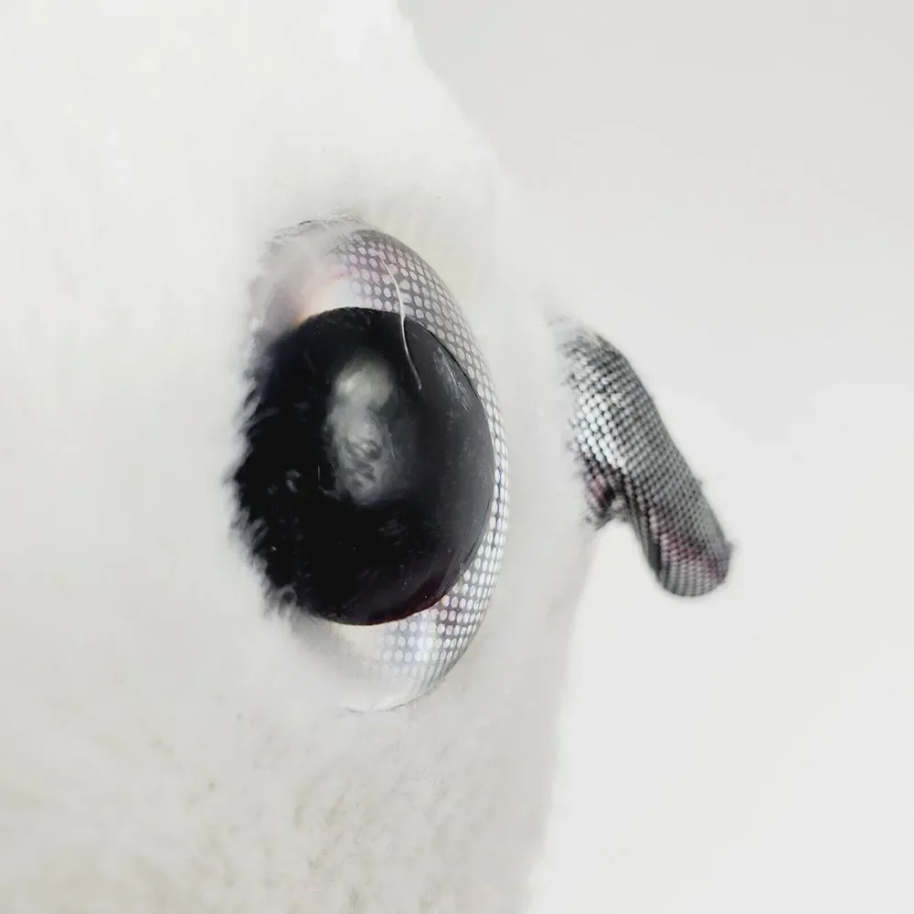 Scent Sations Plush‎ Snowy Owl The Toy Factory Black and White S2 Bubblegum